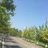江西网友90865