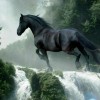 广西网友96475
