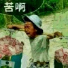 澳门网友35198
