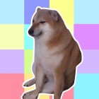 QQ头像