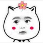 QQ头像