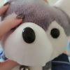 西藏网友62388