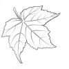 jzw7512651的头像-Xyner