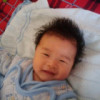 树中丽j