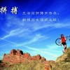 北京网友91158