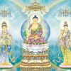 香港网友46434