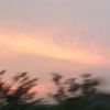 台湾网友60428