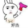 甘肃网友65393