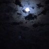 江苏网友60661