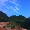 湖北网友48067