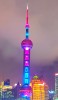 北京网友65500