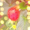 内蒙古网友36516
