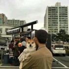 QQ头像