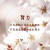 吉林网友59052