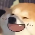 QQ头像