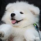 QQ头像