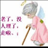 河北网友19971