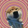 评论头像