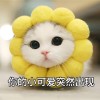 香港网友15310