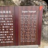黑龙江网友96336