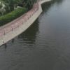 河南网友58567