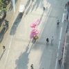 海南网友59035