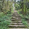 福建网友58520