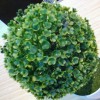 北京网友58156