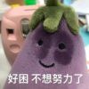 湖北网友56112