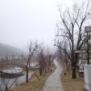 北京网友64974