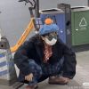 广西网友73873