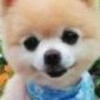 四川网友32720