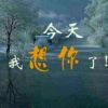 8酷月花