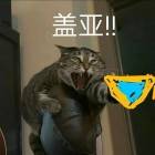 QQ头像