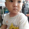 湖北网友15854