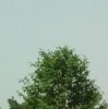 河北网友77131