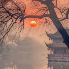 QQ头像