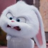 网友昵称：zblog站群程序