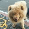 吉林网友33190