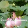 重庆网友73022