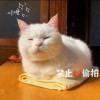 网友昵称：Teams下载