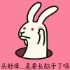 新疆网友95166