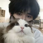 QQ头像