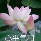 QQ头像