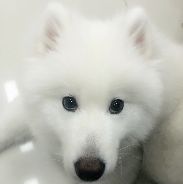 QQ邮箱头像