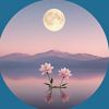 辽宁网友54967