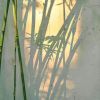 天津网友23780