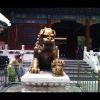 湖南网友10176