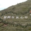 山东网友82297
