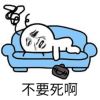 青海网友22776